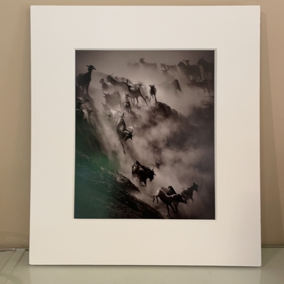 Drew Doggett Photography - Picture 2 of 8